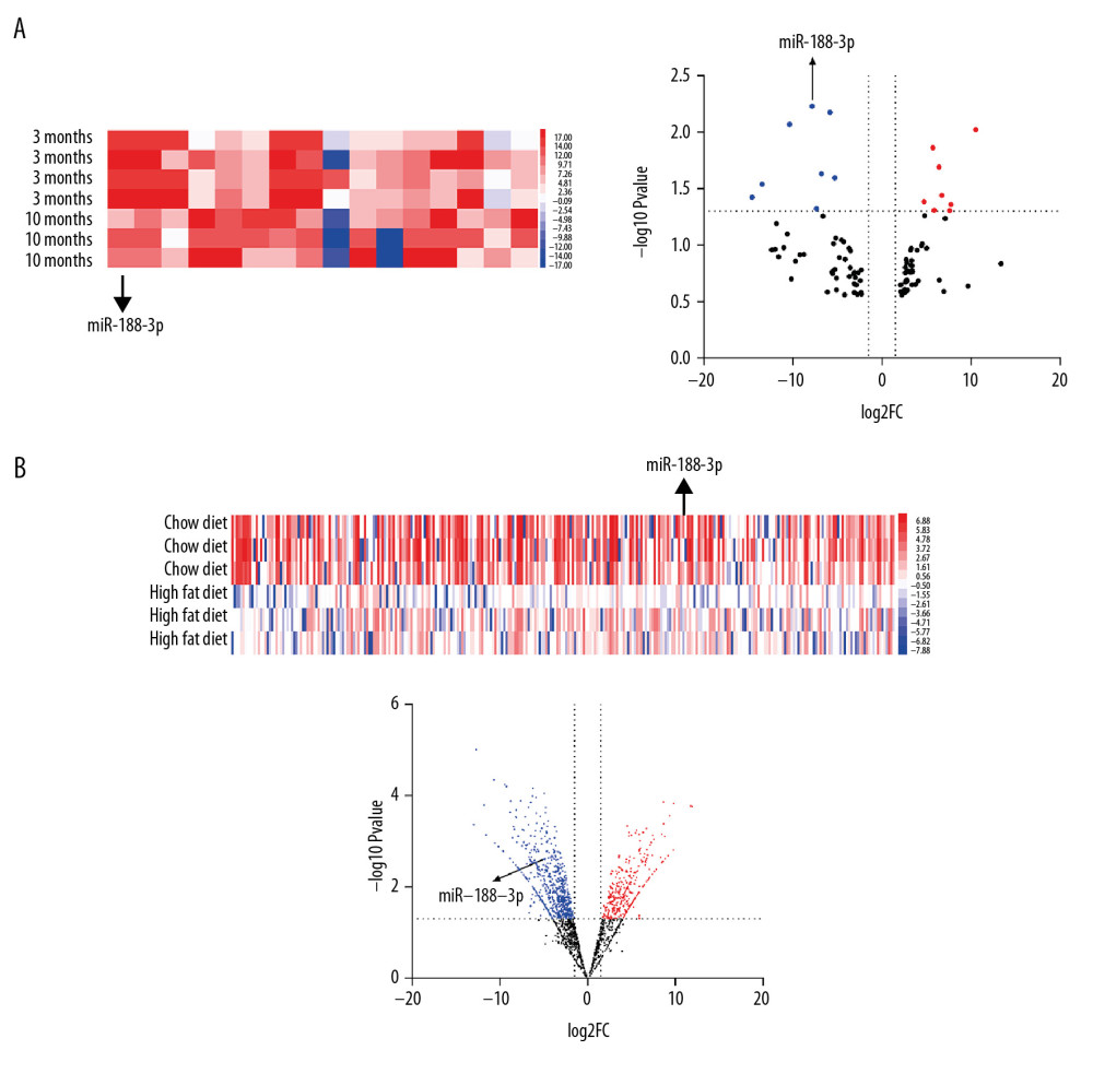 Expression of miR-188-3p in the Gene Chip dataset. (A, B) miR-188-3p was found to be significantly decreased in AS plaques derived from mice fed a high-fat diet for 10 months compared with mice fed a high-fat diet for 3 months based on the dataset GSE34647. (C, D) miR-188-3p was found to be significantly reduced in the ascending aorta of mice fed a high-fat diet based on the dataset GSE89858.
