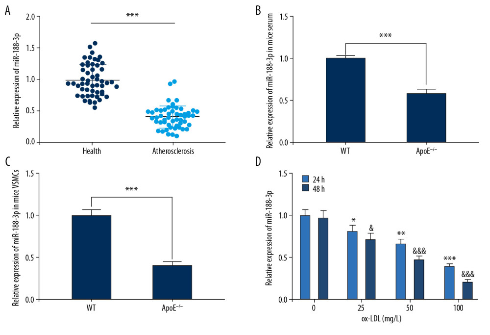 Expression of miR-188-3p in AS patients, mice, and ox-LDL-treated VSMCs. (A) Expression level of miR-188-3p in serum of AS patients and healthy controls. (B, C) miR-188-3p expression in mouse serum and carotid smooth muscle cells. (D) Expression of miR-188-3p in ox-LDL-treated VSMCs. * P<0.001. In D, * P<0.05, ** P<0.01, and *** P<0.001, compared with the 0 mg/L group after 24 h of ox-LDL treatment; & P<0.05, and &&& P<0.001, compared with the 0 mg/L group after 48 h of ox-LDL treatment.