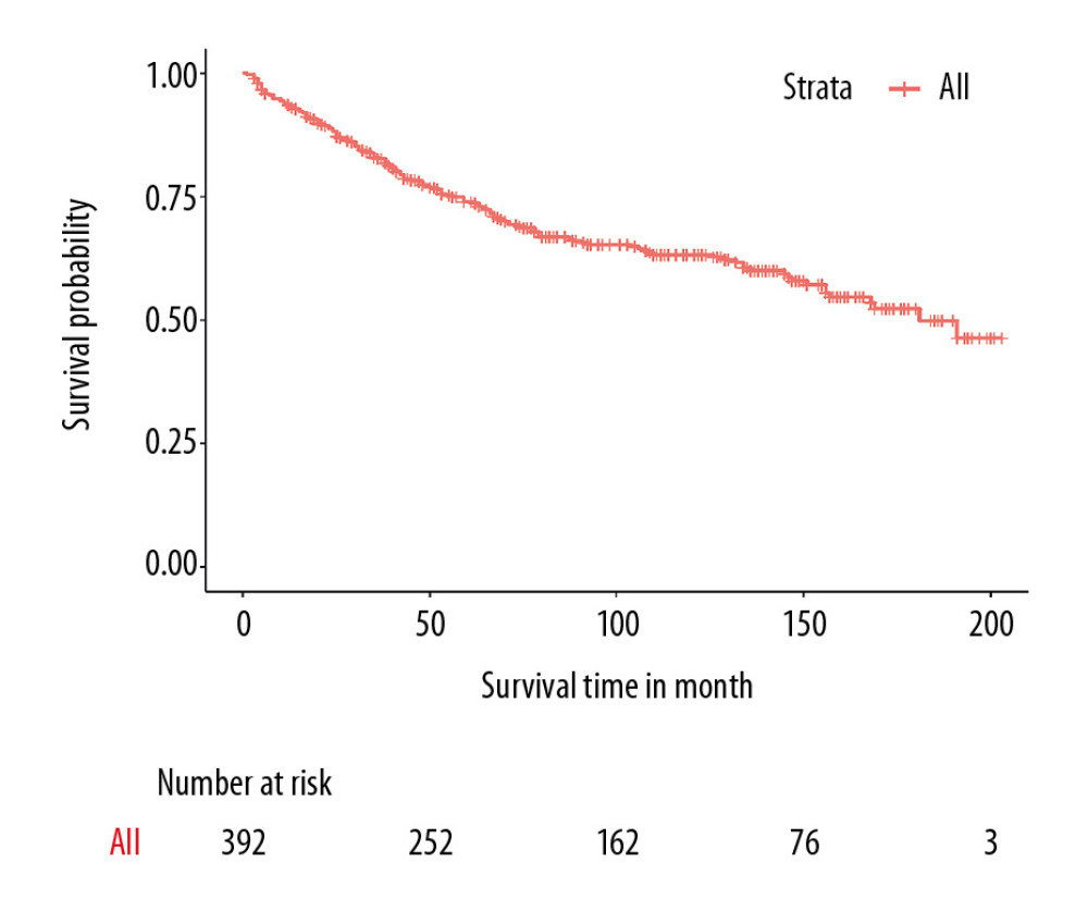 Overall survival curves in the primary cohort based on the Kaplan-Meier analysis.