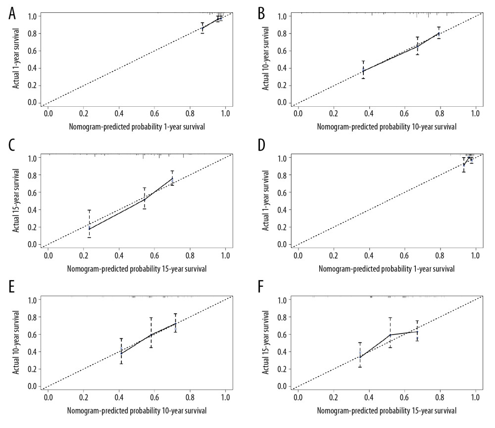 The calibration plot for predicting patient survival in the primary cohort at (A) 1 year, (B) 10 years, and (C) 15 years. The calibration plot for predicting patient survival in the validation cohort at (D) 1 year, (E) 10 years, and (F) 15 years. The nomogram-predicted probability of OS was plotted on the x-axis, and the actual overall survival on the y-axis.