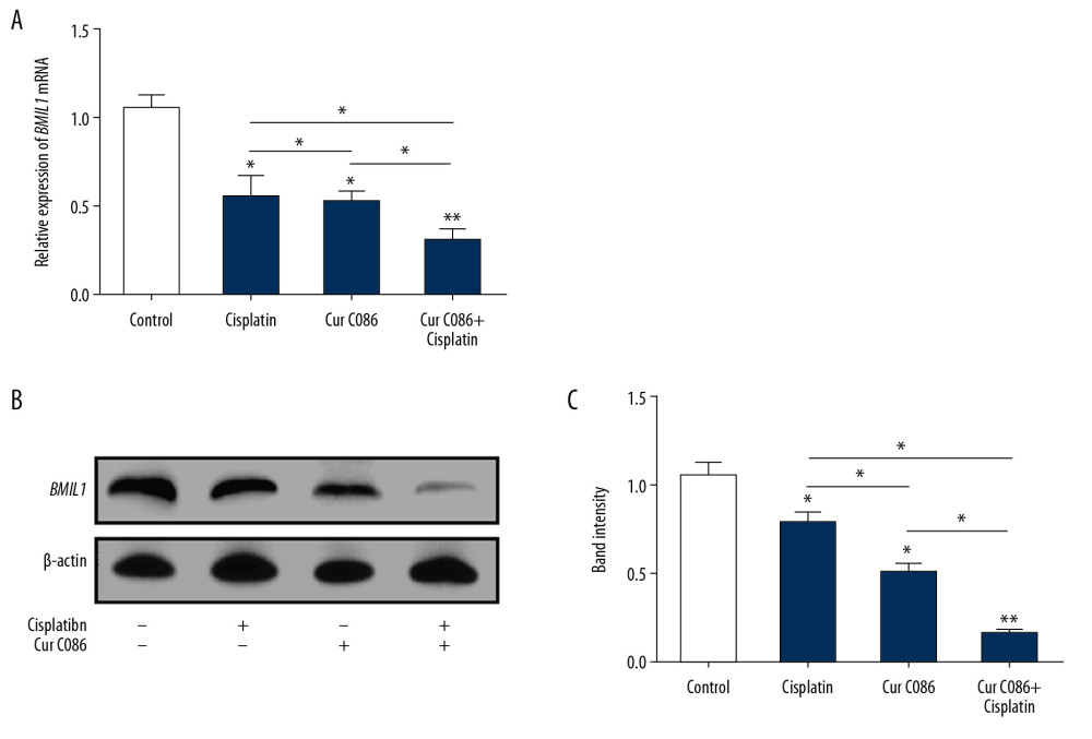 Expression of BMIL1 was analyzed in MG-63 cells treated with curcumin C086 and cisplatin. Expression of BMIL1 mRNA (A) and protein (B, C) was inhibited by curcumin C086 (20 μM)+cisplatin (1.28 nM). Data are expressed as the mean±SEM. * P<0.05 and ** P<0.01.