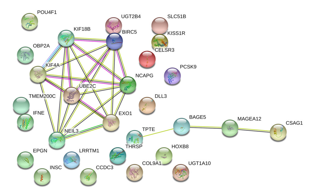 The construction of the PPI network based on prognostic SRGs. PPI – protein–protein interaction; SRGs – stemness-related genes.