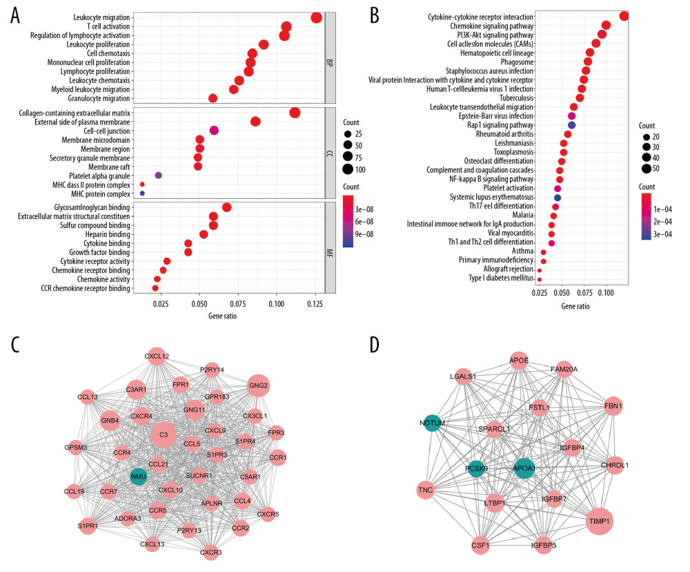 Functional enrichment analysis of 919 DEGs and significant modular analysis based on PPI network. (A) Top 30 GO terms of GO: BP, GO: CC and GO: MF. (B) Top 30 KEGG terms. (C) PPI network of C3 module. (D) PPI network of TIMP1 module. In A, B, terms are sorted by the number of genes enriched. In C, D, red stands for upregulated and green stands for downregulated genes. The size of the node represents the number of proteins that interact with the specified protein. DEGs – different expressed genes; PPI – protein–protein interaction; GO – Gene Ontology; BP – biological processes; CC – cellular components; MF – molecular function; KEGG – Kyoto Encyclopedia of Gene and Genome.