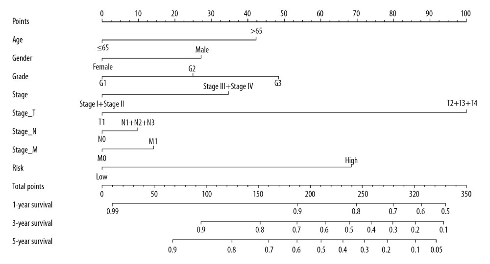 The nomogram to predict the probability of 1-year, 3-year, and 5-year survival rate in stomach adenocarcinoma.
