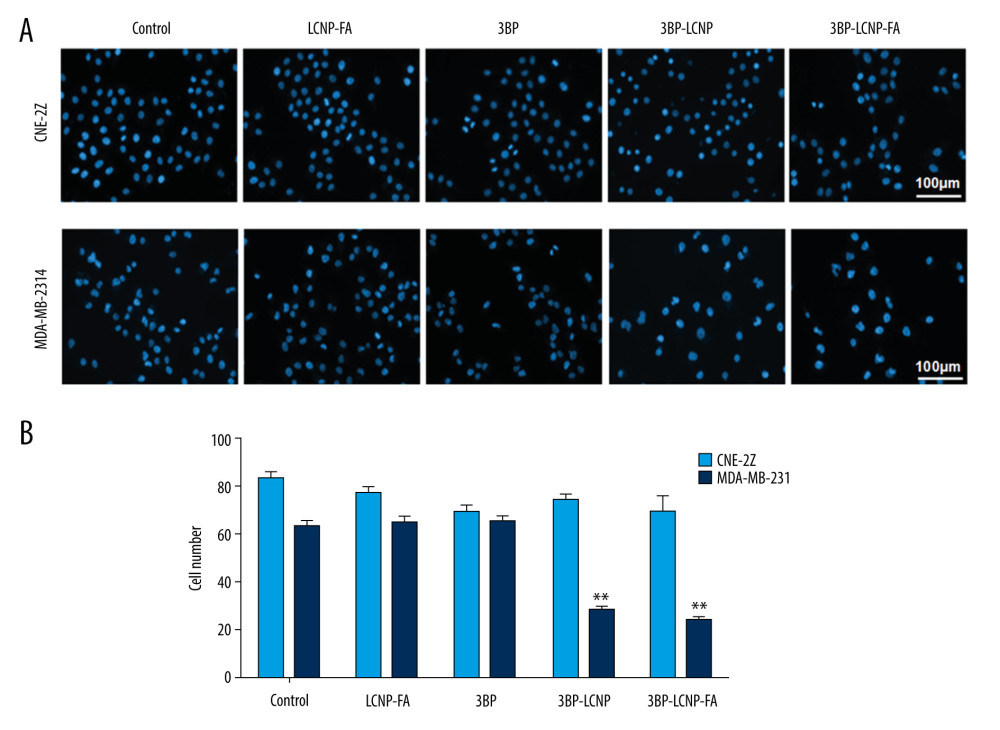 (A) Cell morphology changes and (B) cell density changes after LCNP-FA, 3BP, 3BP-LCNP, and 3BP-LCNP-FA treatment.