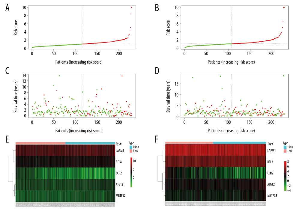 Prognosis of high-risk and low-risk LUAD patients. Risk score distribution of low-risk (green) and high-risk (red) in LUAD patients in (A) training group and (B) testing group. Scatter plot of survival status of LUAD patients in (C) training group and (D) testing group. Red dots (dead); green dots (alive). Expression of risk genes in the high-risk (blue) and low-risk (pink) of the OS model in (E) training group and (F) testing group. LUAD – lung adenocarcinoma; OS – overall survival.