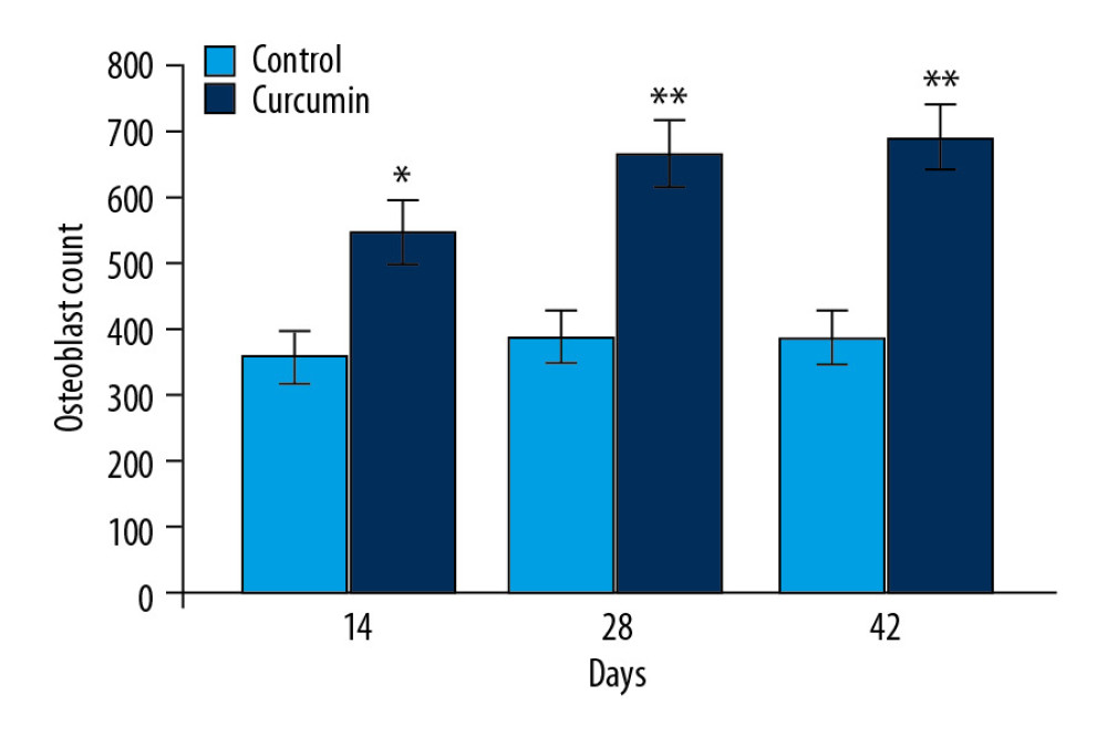 Effect of curcumin on osteoblast proliferation. The callus sections of sham, model, and curcumin treatment groups were analyzed for osteoblast proliferation on day 14, 28, and 42 after fracture using hematoxylin and eosin dyes. * P<0.05, ** P<0.02 versus model (control) group.