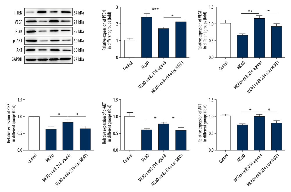 Overexpression of lncRNA NEAT1 rescued the expression of PTEN and suppressed the expression of VEGF, PI3K, Akt, and p-Akt in brain tissues. The expression of PTEN, VEGF, PI3K, Akt, and p-Akt in brain tissues was determined with Western blotting after the overexpression of lncRNA NEAT1. * p<0.05; ** p<0.01; ***p<0.001.