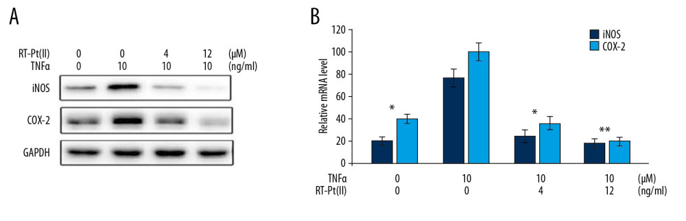 Effect of RT-Pt(II) on iNOS/COX-2 in TNF-α exposed cells. The RT-Pt(II) treated cells at 4 and 12 μM concentrations for 48 h were exposed to TNF-α. (A) The protein levels were measured at 72 h of RT-Pt(II) treatment by western blotting. (B) In RT-Pt(II) treated cells mRNA levels were analyzed at 72 h using RT-PCR. * P<0.02 and ** P<0.01 vs. TNF-α treated cells.