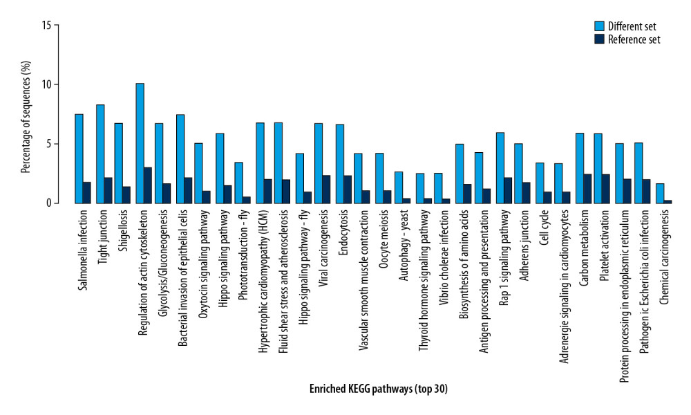 Top 30 enriched KEGG pathways.