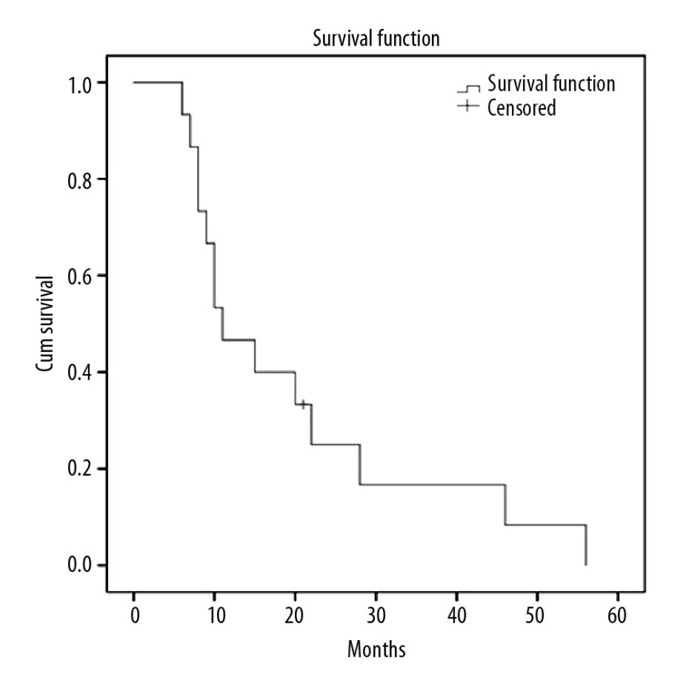 The follow-up period of the patients ranged from 6 to 56 months. The mean survival was 19.6 months. The median survival time was 11.0 months.