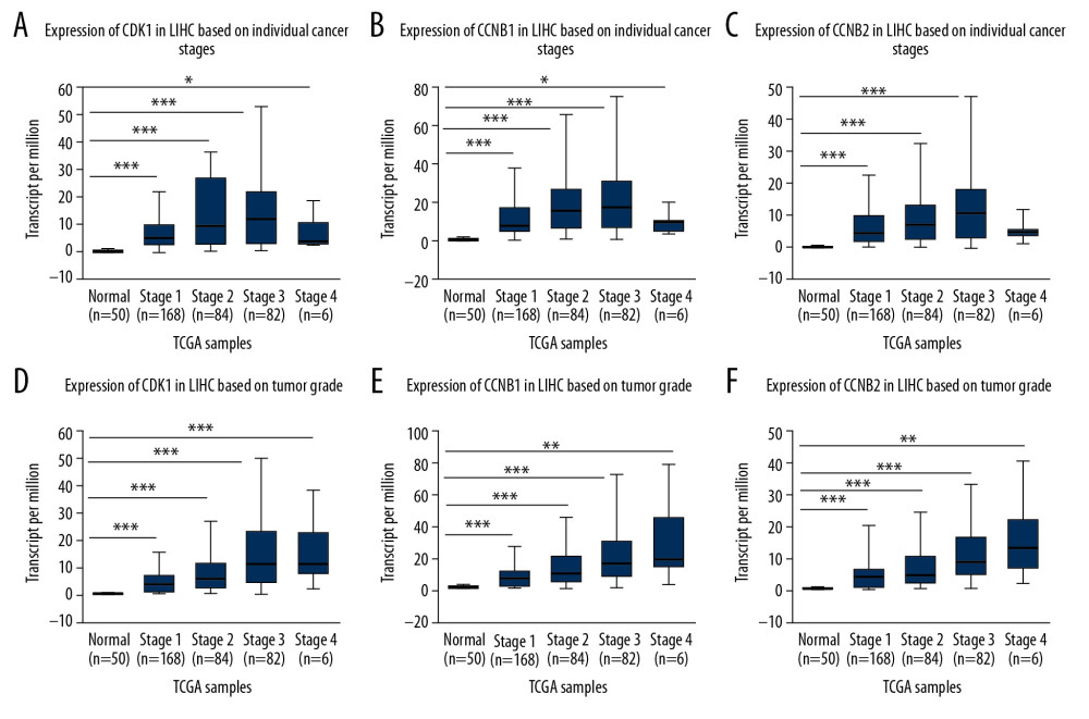 (A–C) Expression levels of CDK1, CCNB1, and CCNB2 in normal tissues or in HCC tissues at different stages. (D–F) Expression levels of CDK1, CCNB1, and CCNB2 in normal tissues or in HCC tissues with different grades. * P<0.05; ** P<0.01; *** P<0.001.