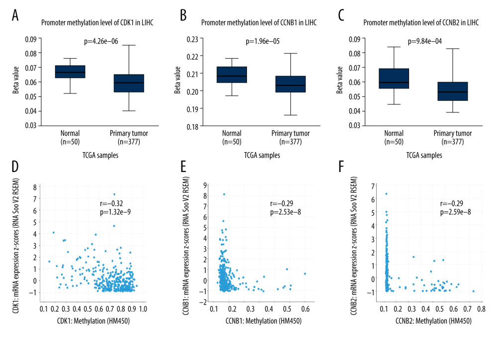 (A–C) Boxplots showing relative promoter methylation levels of CDK1, CCNB1, and CCNB2 in normal and LIHC samples. (D–F) The correlation between expression levels of CDK1, CCNB1, and CCNB2 and their methylation levels in LIHC samples.