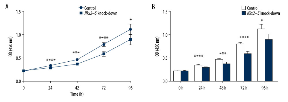 Knockdown of Nkx2–5 inhibited the proliferative capacity of H9c2 cells. The CCK8 method was used to detect the effect of Nkx2–5 on the proliferative capacity of H9c2 cells. (A) Cell growth was detected with the CCK8 method for 4 consecutive days. (B) Statistics of the CCK8 curve are shown.