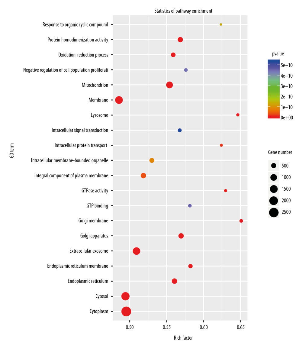 Gene Ontology (GO) enrichment analysis of the target genes of the differentially expressed miRNAs caused by knockdown of Nkx2–5 indicated that those genes function in many biological processes.