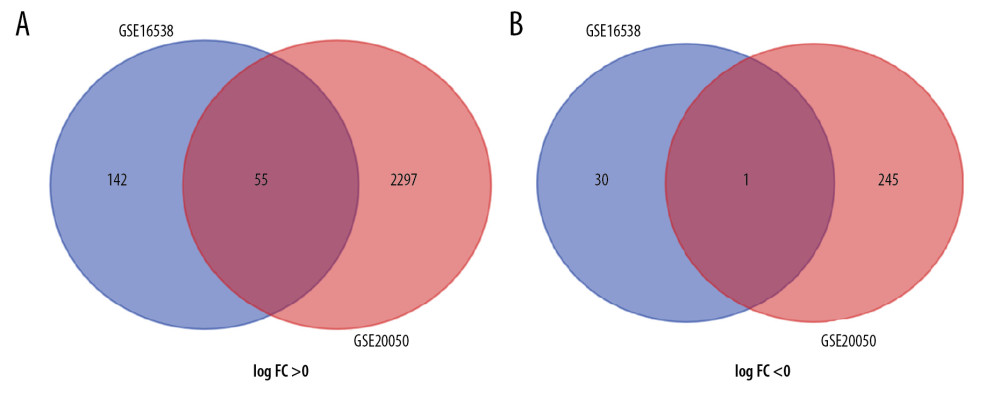 Identification of 56 common SARC-PTB DEGs in the 2 datasets (GSE16538 and GSE20050), and 172 SARC-only DEGs in GSE16538 through Venn diagrams software. Different color meant different datasets. (A) 55 DEGs were upregulated in the 2 datasets, 142 DEGs were in GSE16238 (logFC >0). (B) 1 DEG was downregulated in 2 datasets, 30 DEGs in GSE16238 (logFC <0). Different color meant different datasets. DEGs – differentially expressed genes; SARC – sarcoidosis; PTB – pulmonary tuberculosis.