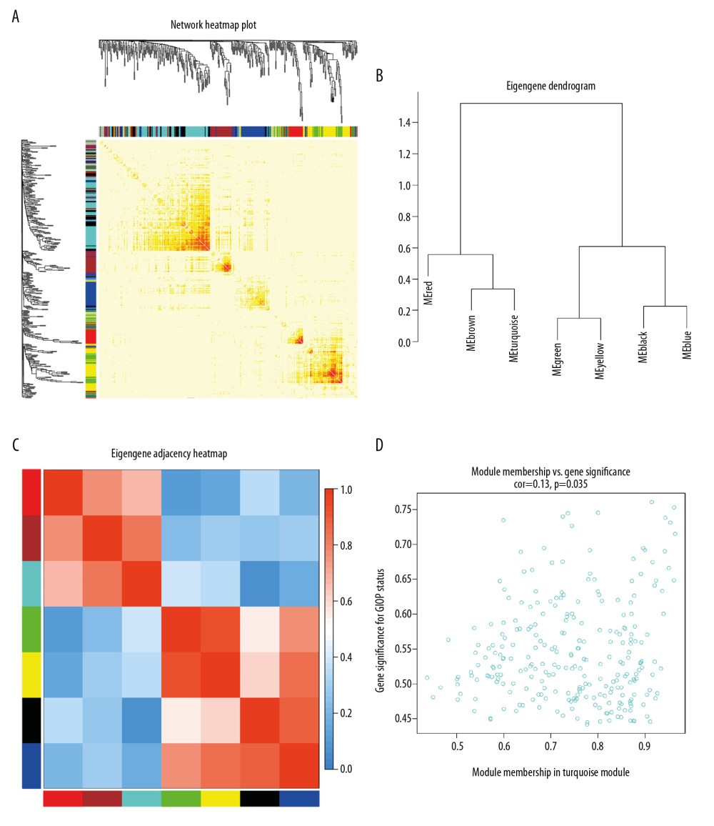 Identification of GIOP status hub genes within the hub module. (A) Correlations among the coexpression genes. On both vertical and horizontal axes, the diverse colors indicate diverse modules. In diverse modules, the yellow brightness at the center represents the connectivity degree. Differences in the relationships across diverse modules are not significant, illustrating that the above modules are highly independent from each other. (B) Dendrogram showing the eigengenes in the consensus module acquired based on WGCNA regarding consensus correlations. (C) Heat map showing the module adjacency. The blue color indicates low adjacency (inverse relationship), while the red color stands for close adjacency (positive relationship). (D) Scatter plot showing the module eigengenes in the turquoise module. GIOP – glucocorticoid-induced osteoporosis; WGCNA – weighted gene coexpression network analysis.