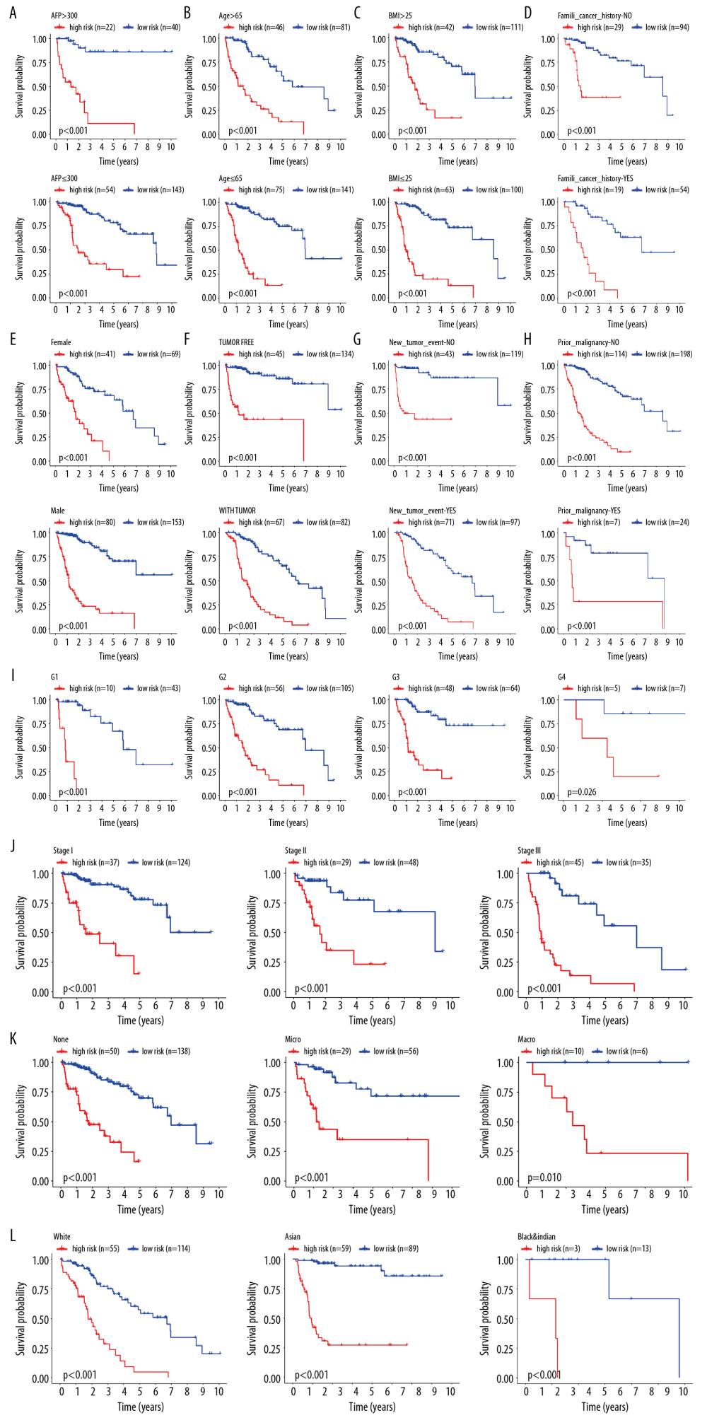 Internal validation of the prognostic model in the TCGA cohort according to clinical features. (A) AFP. (B) Age. (C) BMI. (D) Family cancer history. (E) Gender. (F) Tumor status. (G) New tumor event after treatment initiation. (H) Prior malignancy. (I) Histologic grade. (J) AJCC stage. (K) Vascular tumor cell type. (L) Race.