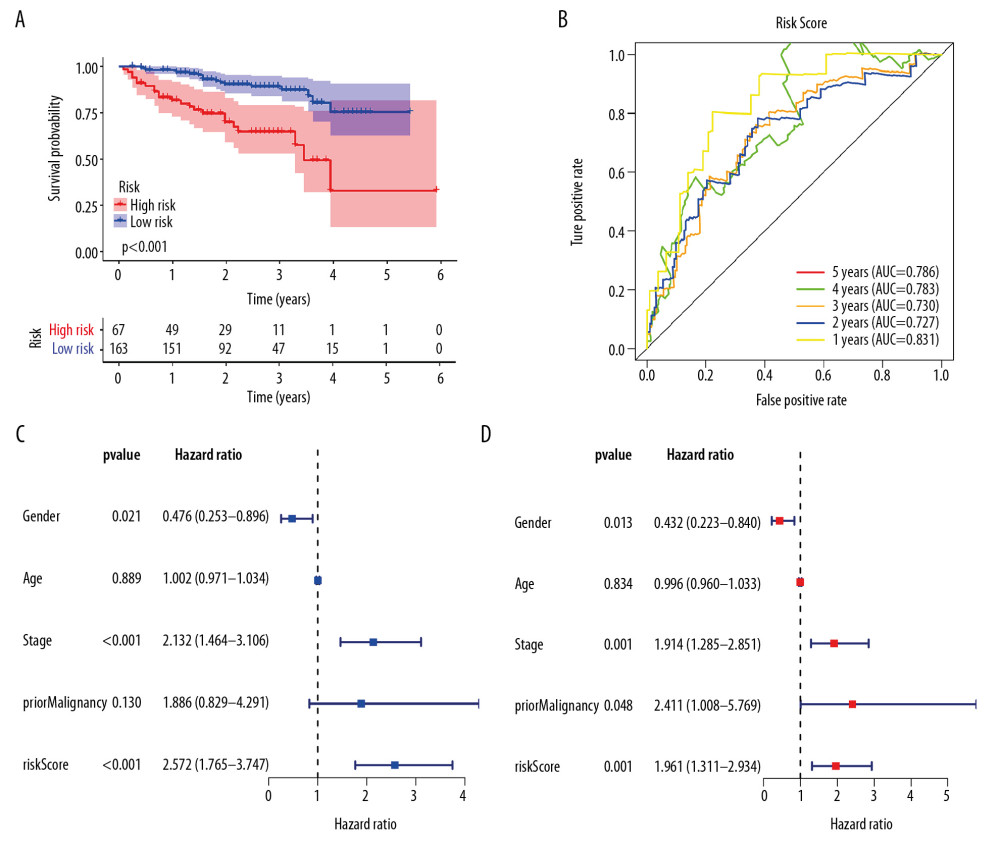 External validation of the prognostic model in the ICGC cohort. (A) Kaplan-Meier curve of overall survival (OS) in the ICGC cohort. (B) Time-dependent ROC analysis in the ICGC cohort. (C) Univariate cox regression analyses of the association between clinicopathological factors and OS in the ICGC cohort. (D) Multivariate Cox regression analyses of the association between clinicopathological factors and OS in the ICGC cohort.
