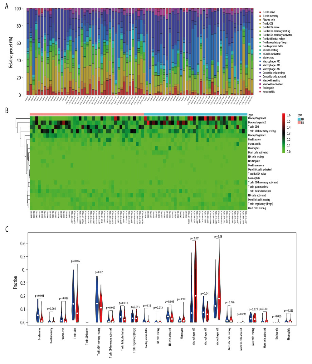 The immune infiltration landscape in HCC patients with high- and low-risk. (A) The barplot of the proportion of immune cell infiltration. (B) Heatmap of the proportion of immune cell infiltration. (C) Violin plot of 22 types of immune cell infiltration abundances in groups with high and low risks (red and blue denote high and low risks).
