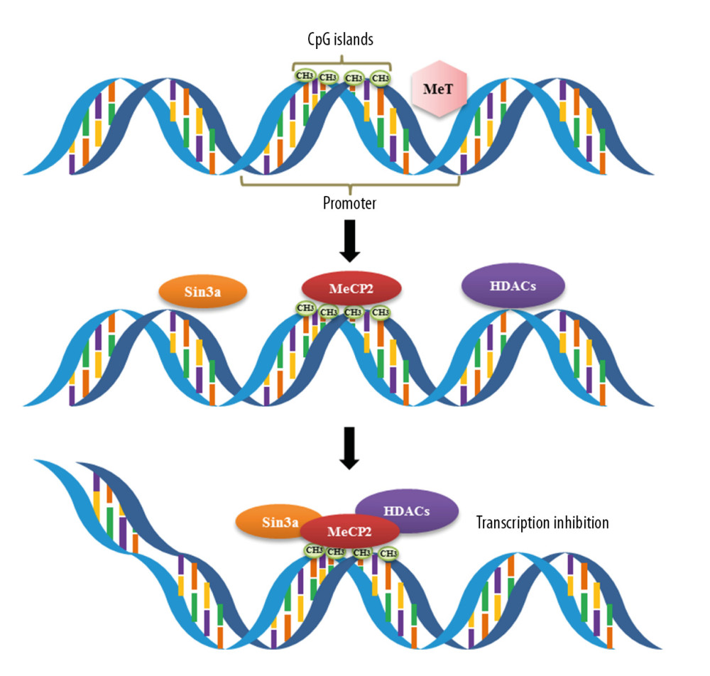 The main mechanism by which DNA methylation inhibits gene transcription.