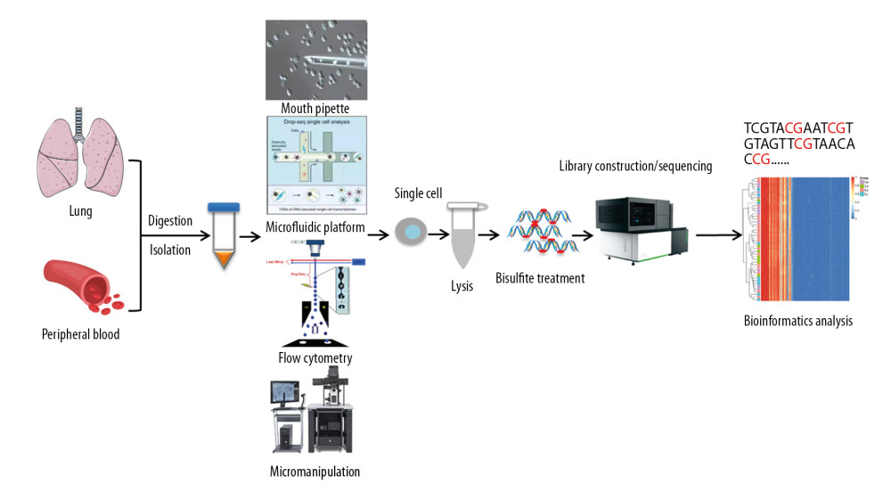 Single-cell DNA methylation sequencing technology in asthma.