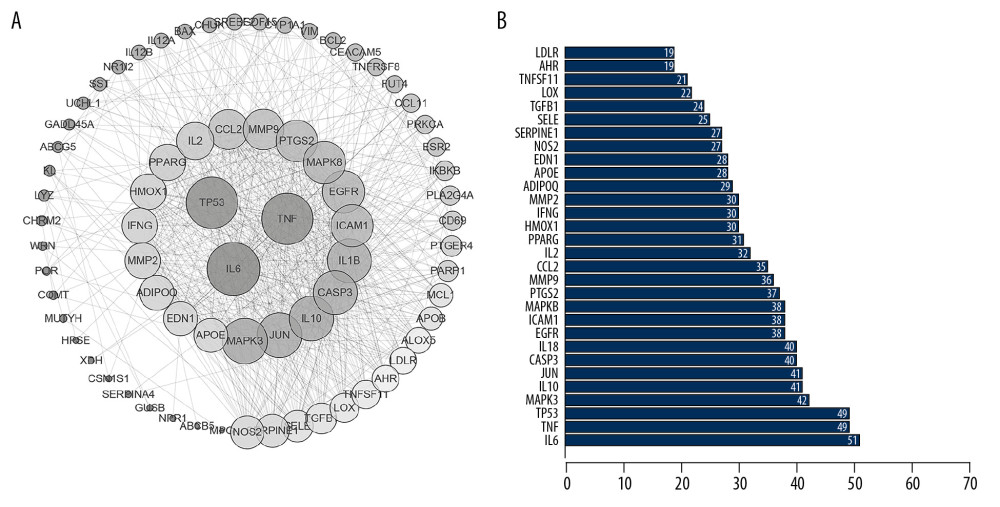 ‘Target–Target’ interaction network analysis. (A) The target–target interaction network is constructed by using Cytoscape 3.7.1. The size of the nodes is proportional to degrees. (B) The bar plot on degrees of connection among the targets.