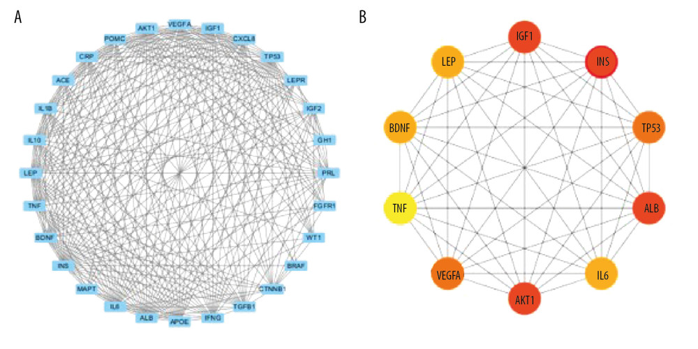 PPI network. (A) PPI network built by Cytoscape v3.7.1. (B) PPI network processed by a Cytoscape v3.7.1 plug-in called cytoHubba. The node color is proportional to the degree of PPI.
