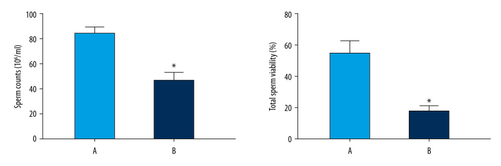 Sperm counts and total sperm viability in the 2 groups. The light blue bar represents the total number of sperm in Group A. The deep blue bar shows the sperm count in Group B. Values are the mean±SEM (n=6 animals per group). The t test was used. Group B was compared with Group A, * P<0.05.
