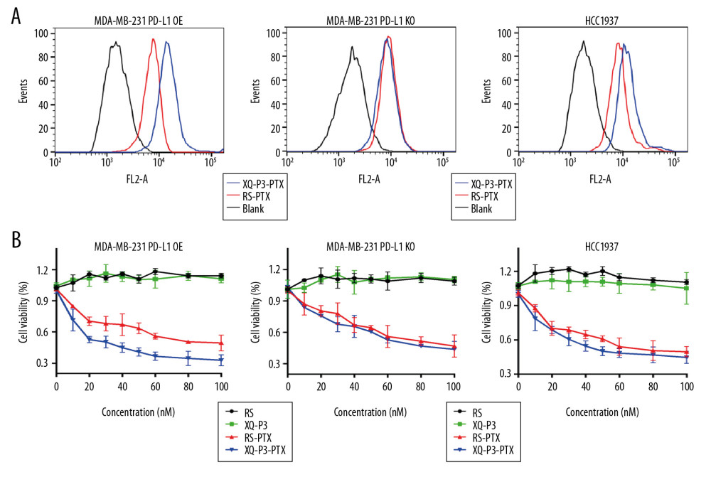 The effect of XQ-P3 modification on the uptake and cytotoxicity of conjugated PTX. (A) XQ-P3 modification dramatically increased the uptake of PTX in MDA-MB-231 PD-L1 OE cells and HCC1937 cells but not in MDA-MB-231 PD-L1 KO cells. (B) The cytotoxicity of conjugated PTX with XQ-P3 modification were also increased in MDA-MB-231 PD-L1 OE cells and HCC1937 cells but not in MDA-MB-231 PD-L1 KO cells. The data were presented as the means±standard deviation. n =3. RS, a random sequence served as a negative control of XQ-P3 aptamer. Error bars indicate mean±standard deviation.