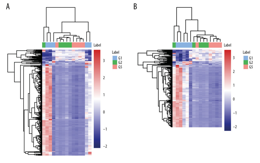 Heat map plots of upregulated and downregulated metabolites. (A) Positive ions; (B) negative ions.