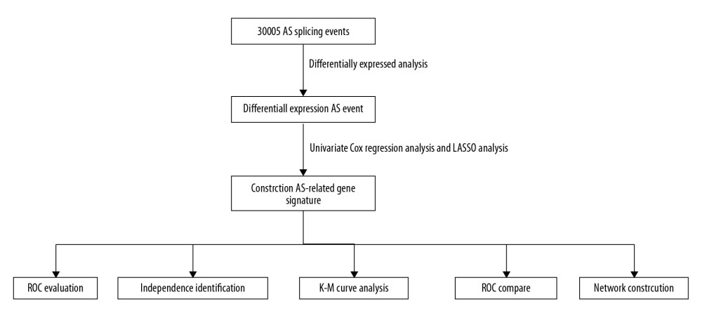 The flowchart to illustrate the workflow and the novel findings of this study.