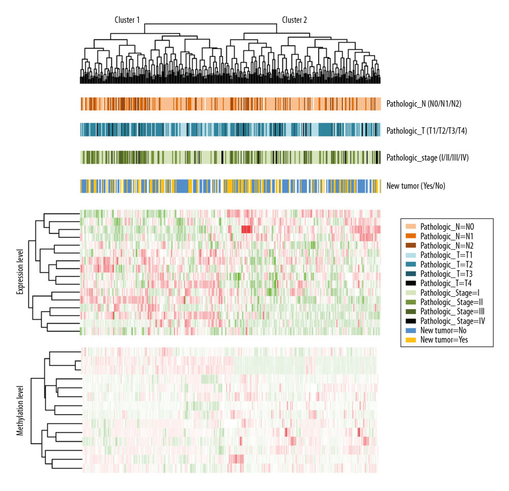 Bidirectional hierarchical cluster heatmaps based on 16 gene expression and methylation levels. The first line under the cluster tree represents pathologic N information, and the change from light orange to deep orange represents N0 to N2. The second line represents the pathologic T information, and the change from light blue to dark blue represents T1 to T4. The third line represents pathologic stage information, and the change from light green to dark green represents stages I to IV. The fourth line represents new tumor information, and the blue and gold represent the samples without and with new tumor, respectively.