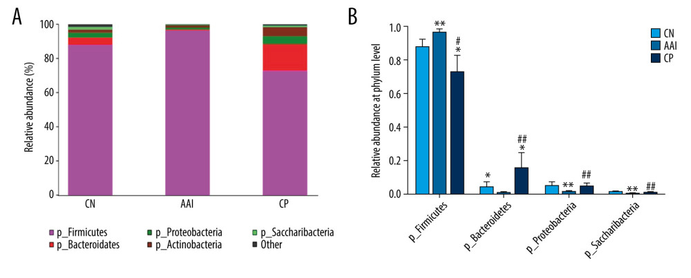 Relative abundance comparison of major phyla of gut microbiota among groups. (A) Bacterial composition and relative abundances at the phylum level among groups. (B) Relative abundance comparison of major phyla among groups. * P<0.05, ** P<0.01 vs. CN group; # P <0.05, ## P<0.01 vs. AAI group.