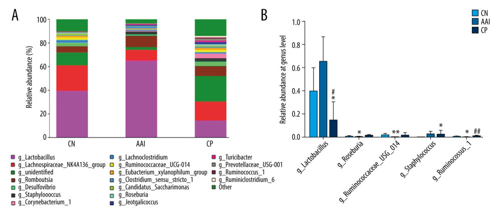 Relative abundance comparison of major genera of gut microbiota among groups. (A) Bacterial composition and relative abundances at the genus level among groups. (B) Relative abundance comparison of major genera among groups. * P<0.05, ** P<0.01 vs. CN group; # P<0.05, ## P <0.01 vs. AAI group.