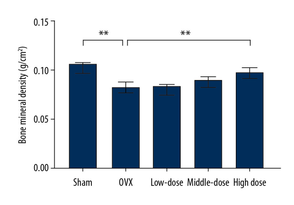 High-dose Drynaria total flavonoid (DTF) led to increased bone mineral density in ovariectomy-induced mandibular osteoporosis. The bone mineral density of the right mandible of each group was measured by a dual-energy X-ray bone densitometry. Data represent the mean±SE of each group. * P<0.05, ** P<0.01, both compared with the ovariectomy control (OVX) group.