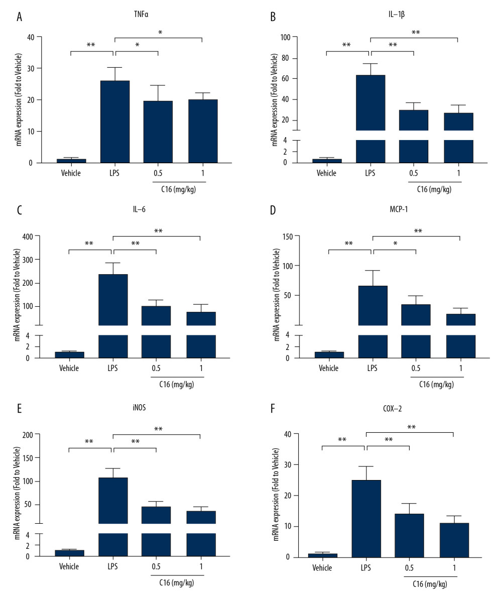 C16 inhibits renal inflammatory responses after lipopolysaccharide (LPS) injection. Real-time polymerase chain reaction was used to measure renal levels of proinflammatory cytokines and chemokines after LPS injection. (A) Tumor necrosis factor α. (B) Interleukin (IL)-1β. (C) IL-6. (D) Monocyte chemoattractant protein-1. (E) inducible nitric oxide synthase. (F) Cyclooxygenase-2. Data are presented as mean±standard deviation (n=6). * P<0.05, ** P<0.01.
