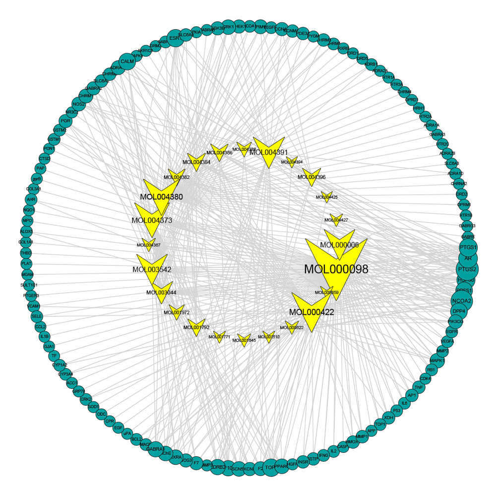 The active component-target network of Epimedii Herba. Yellow nodes represent active components, green nodes represent targets.