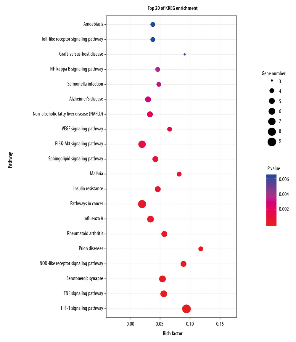 KEGG pathway enrichment of Epimedii Herba against AD. Top 20 pathways enriched based on target genes (the abscissa is the rich factor, the ordinate is pathway name, the size of the dot indicates the number of target genes, and the color represents the P-value).