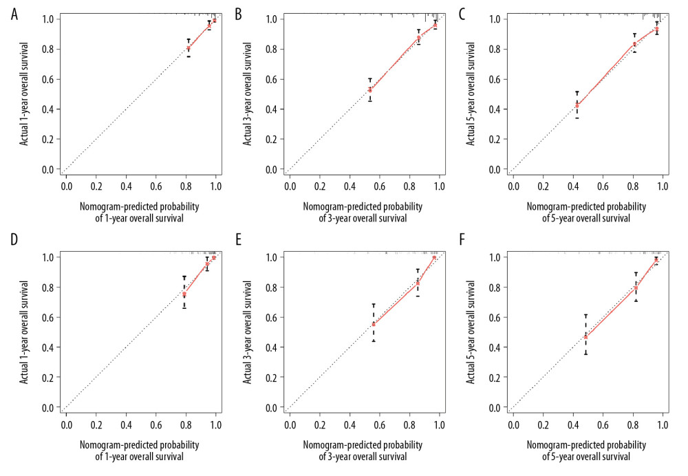 The plots of bootstrap calibration of 1-year, 3-year, and 5-year overall survival. Calibration curves of the OS nomogram in training set at 1 year (A), 3 years (B), and 5 years (C). Calibration curves of the OS nomogram in the validation set at 1 year (D), 3 years (E), and 5 years (F). Dotted lines represent the ideal predictive model, and the solid red line represents the observed model.