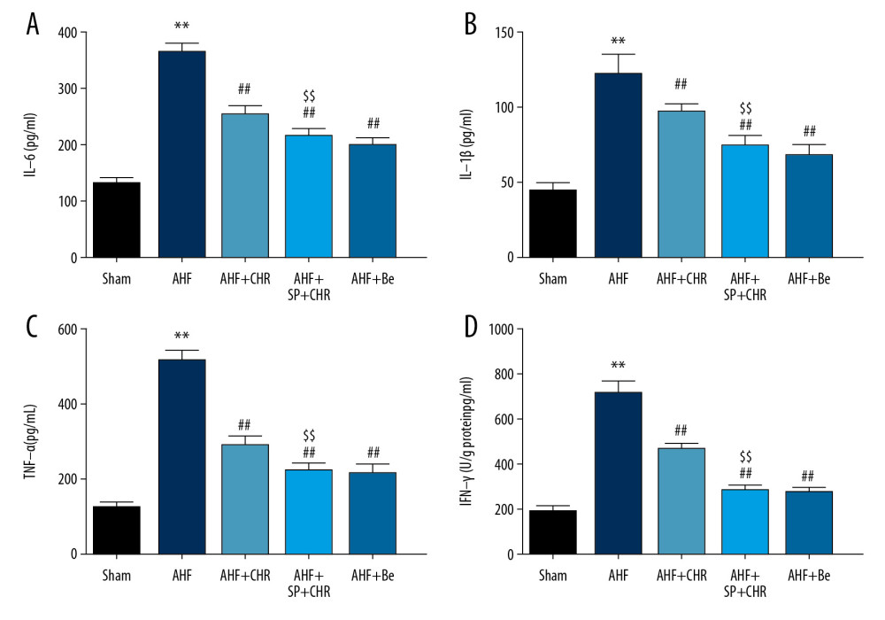 Chrysophanol alleviated the inflammation in AHF rats. After various treatment, rats were sacrificed and blood samples were collected. (A) IL-6, (B) IL-1β, (C) TNF-α, and (D) IFN-γ levels were analyzed by ELISA. Each experiment was repeated 3 times. Data are expressed as mean±SEM. * p<0.05, ** p<0.01 vs. sham; # p<0.05, ## p<0.01 vs. AHF; $ p<0.05, $$ p<0.01 vs. AHF+CHR. AHF – acute heart failure; CHR – chrysophanol; SP – SP600125; Be – benazepril; IL-6 – interleukin-6; IL-1β – interleukin-1β; TNF-α – tumor necrosis factor-α; IFN-γ – interferon-γ.