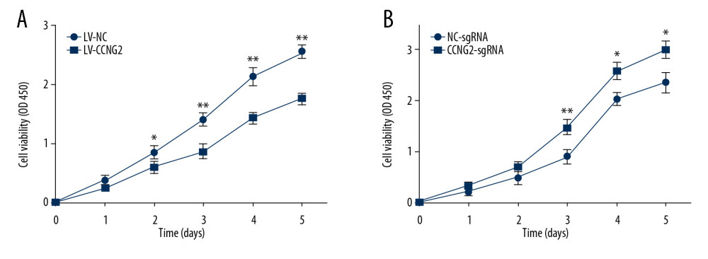 CCNG2 inhibits the proliferation of HTR8/SVneo cells. (A, B) CCK-8 assays showing the effects of CCNG2 overexpression (A) and knockdown (B) on the proliferation of HTR8/SVneo cells. Each experiment was independently performed 3 times. OD, optical density. * P<0.05 and ** P<0.01 vs. control.