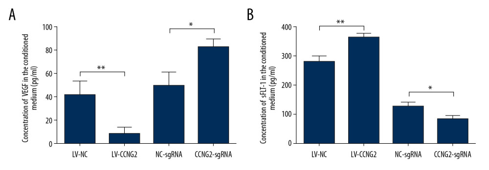 CCNG2 suppresses the expression of VEGF but increases that of sFlt-1. (A, B) Statistical analyses of the concentrations of VEGF (A) and sFlt-1 (B) in the conditioned media of infected HTR8/SVneo cells (pg/ml). Each experiment was independently performed 3 times. * P<0.05 and ** P<0.01 vs. control.