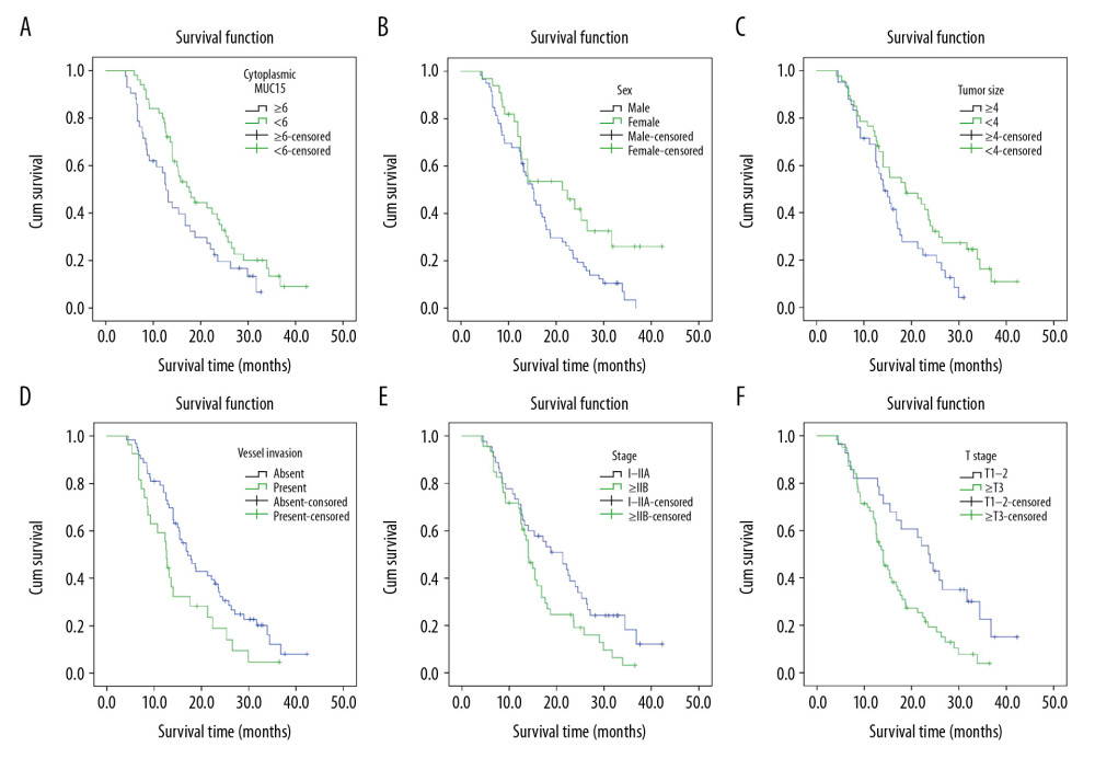 Kaplan-Meier curves for overall survival of patients with pancreatic ductal adenocarcinoma. (A) Overall survival of patients according to cytoplasmic MUC15 expression in cancer tissues (P=0.042; log-rank test). (B) Kaplan-Meier curves for OS based on sex (P=0.019; log-rank test). (C) Kaplan-Meier curves for OS based on tumor size (P=0.034; log-rank test). (D) Kaplan-Meier curves for OS based on vessel invasion (P=0.021; log-rank test). (E) Kaplan-Meier curves for OS based on stage (P=0.036; log-rank test). (F) Kaplan-Meier curves for OS based T stage (P=0.003; log-rank test).
