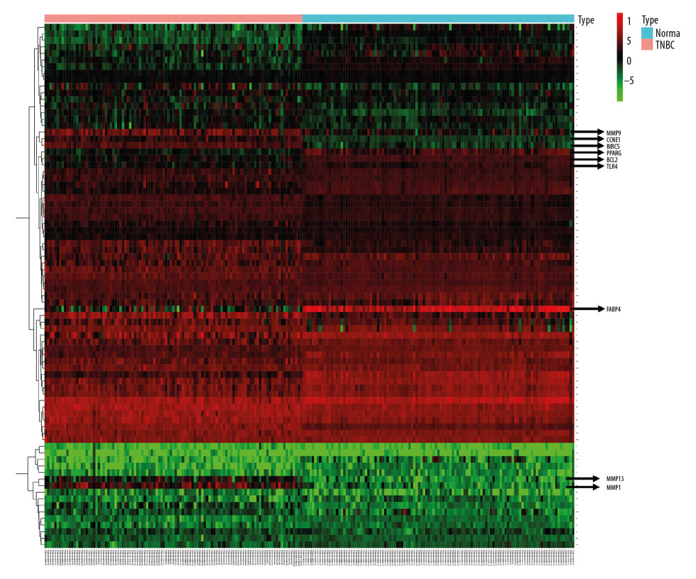 Heatmap of 80 differentially expressed genes. Red color represents upregulated genes, and green represents downregulated genes in TNBC patients and normal patients.
