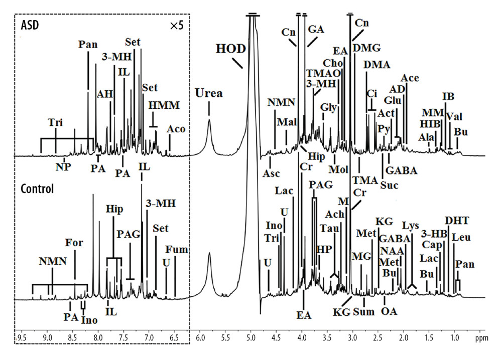 NMR spectrum (δ0.5–6.2 and δ6.2–9.5) of urine at 600 MHz, with a typical 1H spectrum as an external spectrum, showing the assignment of the significant metabolites responsible for distinguishing children with ASD from non-autistic children. The region of δ6.2–9.5 (in the dashed box) was magnified 5 times compared with the corresponding region of δ0.5–6.2 for the purpose of clarity. Ace – acetate; Ach – acetylcholine; Aco – trans-aconitate; Act – acetone; Ad – acetamide; AH – aminohippurate; Ala – alanine; Asc – ascorbate; Bu – butyrate; Cap – caprate; Cho – choline; Ci – citrate; Cn – creatinine; Cr – creatine; DHT – dihydrothymine; DMA – dimethylamine; DMG – N, N-dimethylglycine; EA – ethanolamine; For – formate; Fum – fumarate; GA – guanidoacetate; GABA – Gama-aminobutyrate; Glu – glutamate; Gly – glycine; HIB – 2-hydroxyisobutyrate; Hip – hippurate; HMM – 3-hydroxy-4-methoxymandelate; HP – 3-hydroxypyruvate; IB – isobutyrate; IL – indolelactate; Ino – inosine; KG – α-ketoglutarate; Lac – lactate; Leu – leucine; Lys – lysine; M – malonate; Mal – malate; Met – methionine; MG – methylguanidine; MM – methylmalonate; Mol – methanol; NAA – N-acetylalanine; NMN – N-methylnicotinamide; NP – neopterin; OA – oxaloacetate; PA –picolinate; PAG – phenylacetylglycine; Pan – pantothenate; Py – pyruvate; Set – serotonin; Suc – succinate; Sum – succinimide; Tau – taurine; TMA – trimethylamine; TMAO – trimethylamine N-oxide; Tri – trigonelline; U – unassigned; Val – valine.