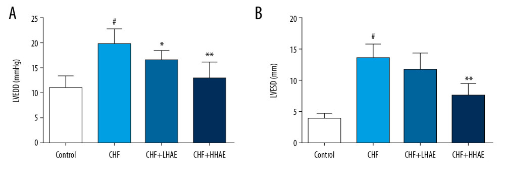 (A, B) The effects of HAE on echocardiographic parameters (LVEDD and LVESD) in doxorubicin-evoked CHF in rats. Results are expressed as the means±SD (n=8). # P<0.01 versus the control group; * P<0.05 and ** P<0.01 versus the CHF group. CHF – chronic heart failure; HAE, alcohol extract of hawthorn (Crataegus pinnatifida) fruit; LVEDD – left ventricular end-diastolic diameter; LVESD – left ventricular end-systolic diameter.