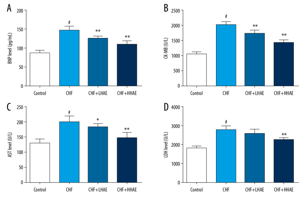 The effects of HAE on serum BNP (A), CK-MB (B), AST (C), and LDH (D) levels in doxorubicin-evoked CHF in rats. Results are expressed as the means±SD (n=8). # P<0.01 versus the control group; * P<0.05 and ** P<0.01 versus the CHF group. AST – aspartate aminotransferase; BNP – brain natriuretic peptide; CHF – chronic heart failure; CK-MB – creatine kinase-MB; HAE – alcohol extract of hawthorn (Crataegus pinnatifida) fruit; LDH – lactate dehydrogenase.