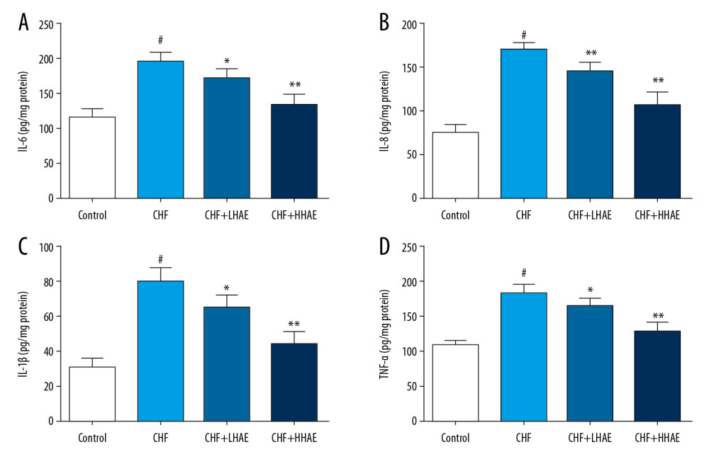 Effects of HAE on heart tissue levels of IL-6 (A), IL-8 (B), IL-1β (C), and TNF-α (D) in doxorubicin-induced chronic heart failure in rats. Results are expressed as the means±SD (n=8). # P<0.01 versus the control group; * P<0.05 and ** P<0.01 versus the CHF group. CHF – chronic heart failure; HAE – alcohol extract of hawthorn (Crataegus pinnatifida) fruit; IL – interleukin; TNF-α – tumor necrosis factor α.