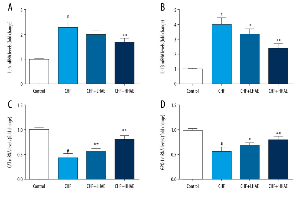 Effects of HAE on mRNA expression of IL-6 (A), IL-1β (B), CAT (C), and GPX-1 (D) in doxorubicin-induced CHF in rats. Results are expressed as the means±SD (n=6). # P<0.01 versus the control group; * P<0.05 and ** P<0.01 versus the CHF group. CAT – catalase; CHF – chronic heart failure; HAE – alcohol extract of hawthorn (Crataegus pinnatifida) fruit; GPX-1 – glutathione peroxidase-1; IL – interleukin.